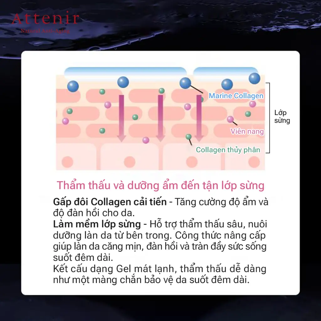 EC-Attenir-M15013-3.webp