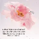 EC-Attenir-M15018-5.webp