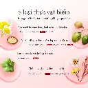 EC-Attenir-M15018-4.webp